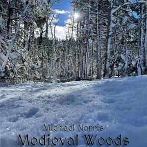 Medieval Woods