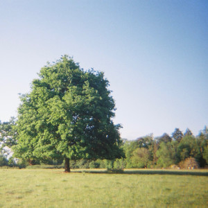 Scarlett Lynn O'Shea