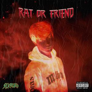 RAT OR FRIEND (Explicit)