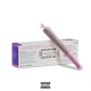 Welcome to the bando (feat. Cristian Perc) (Explicit)