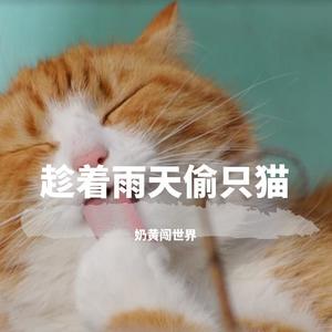 趁着雨天偷只猫