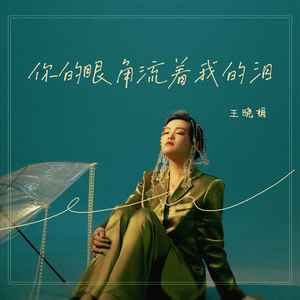 你的眼角流着我的泪封面