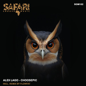 Choosepic (Original Mix)