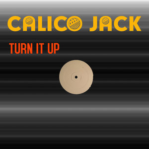 Turn It Up (Electro Tribal Mix)