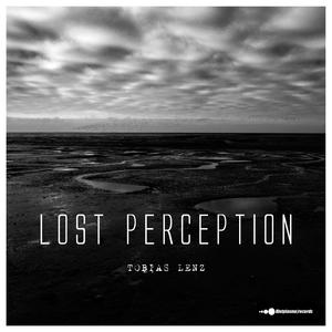 Lost Perception