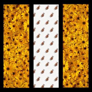 Pollen (feat. Drewskii & .626) (Explicit)