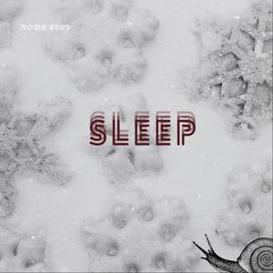 SLEEP (Explicit)
