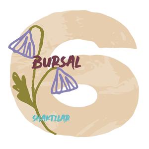 Bursal