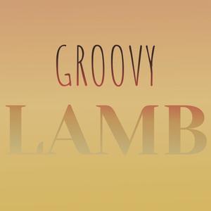 Groovy Lamb