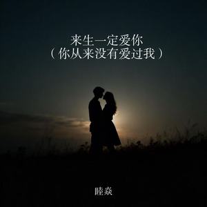 来生一定爱你 (你从来没有爱过我)封面