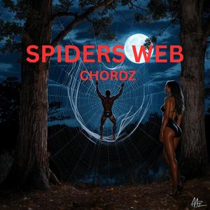 SPIDERS WEB