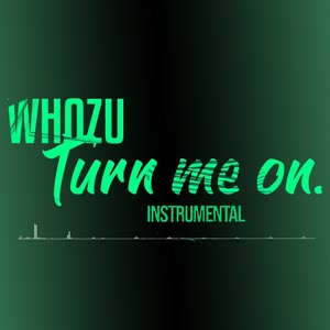 Turn Me On (Intrumental)