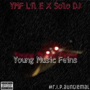 Y.M.F. (Young Music Feins)