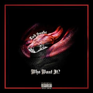 Who Want It (Explicit)