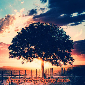 Every scar tells wisdom