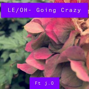 Going Crazy (Explicit)