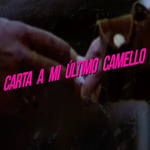 Carta a mi último camello (Explicit)