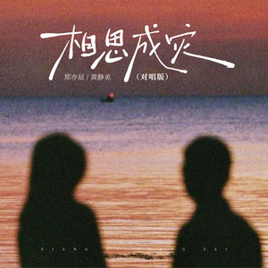 相思成灾 (对唱版)封面