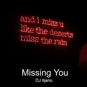 Missing You (Radio Edit)