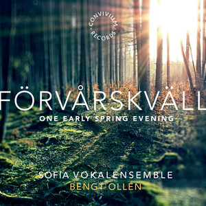 Förvårskväll