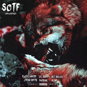 S.O.T.F (Explicit)