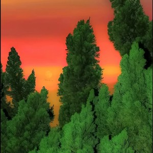 杉菜摇(潮流舞蹈Bgm)