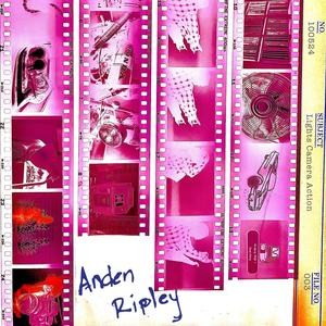 Lights Camera Action