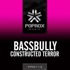 Constructed Terror (Original Mix)