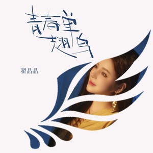 青春单翅鸟 (伴奏)