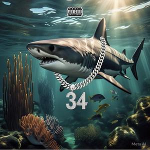 SharkTank (Explicit)
