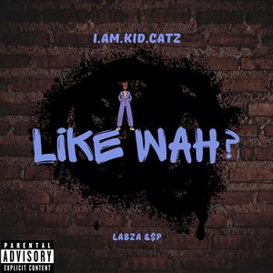 Like what (feat. Labza & $p) [Explicit]