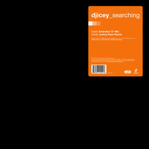 Searching (Joshua Ryan Remix)