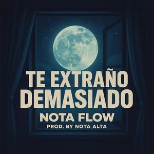 Te Extraño Demasiado