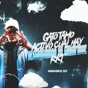 Gato Tamo Activo Cual Hay (Remix)