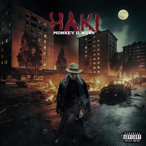 HAKI (Monkey D.Nufy) (Explicit)