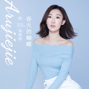 春天的蝴蝶 (DJ默涵版伴奏)