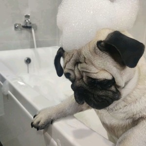 black hair (Explicit)