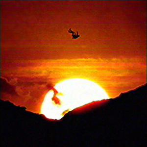 The Gates (feat. Chandler Owens)