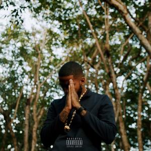 Home(feat. Loshey) (Explicit)