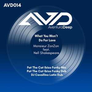 What You Won't Do For Love (DJ Cavallino Latin Dub)