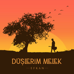 Düşlerim Melek