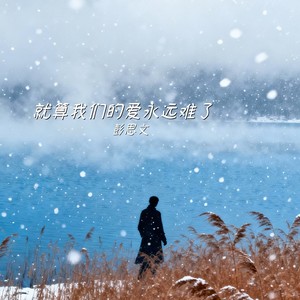 就算我们的爱永远难了