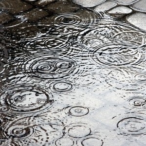 雨声：冥想雨