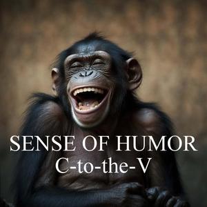 Sense of Humor