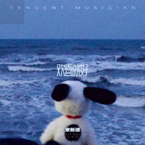 欢喜就好(感觉至上)-宋新瑞
