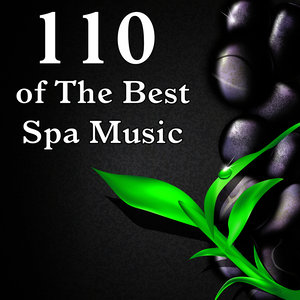 110 of the Best Spa Music