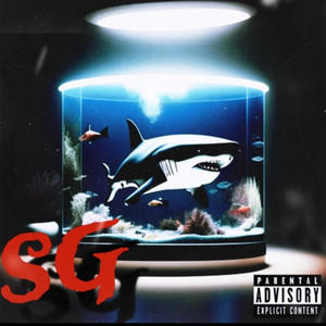 Shark attack (Explicit)