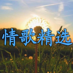 相遇的魔咒
