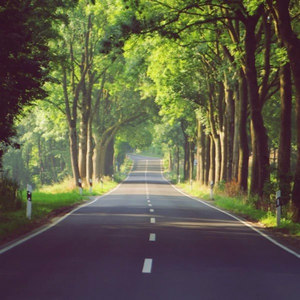 让她飞吧-AkaSixY/小右/张超 (Remix)