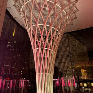 Let Her Go (feat. 37lxButta & 4L Mack) (Explicit)